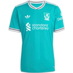 Liverpool Third Shirt 2526 (3)