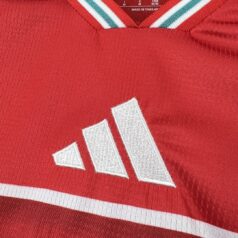 Wales Home (10)