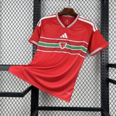 Wales Home (5)
